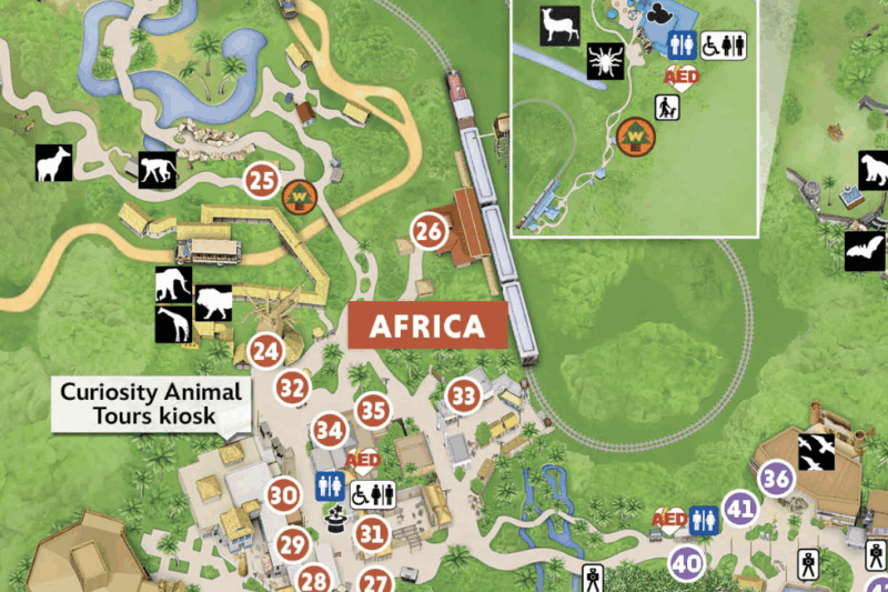 Animal Kingdom Map Printable