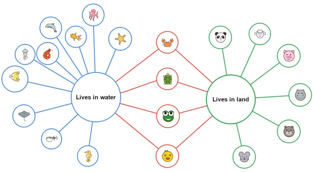 Double Bubble Map Template U0026 Examples EdrawMind