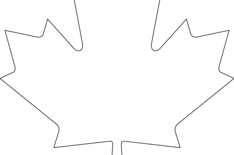 Maple Leaf Template Free Printable