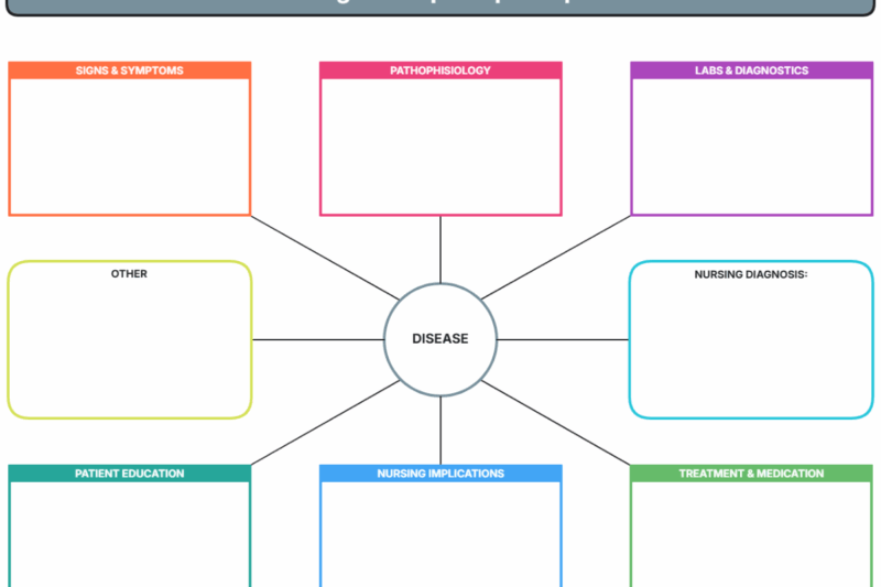 Free Printable Nursing Concept Map Template