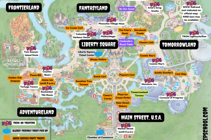 Magic Kingdom Map Printable