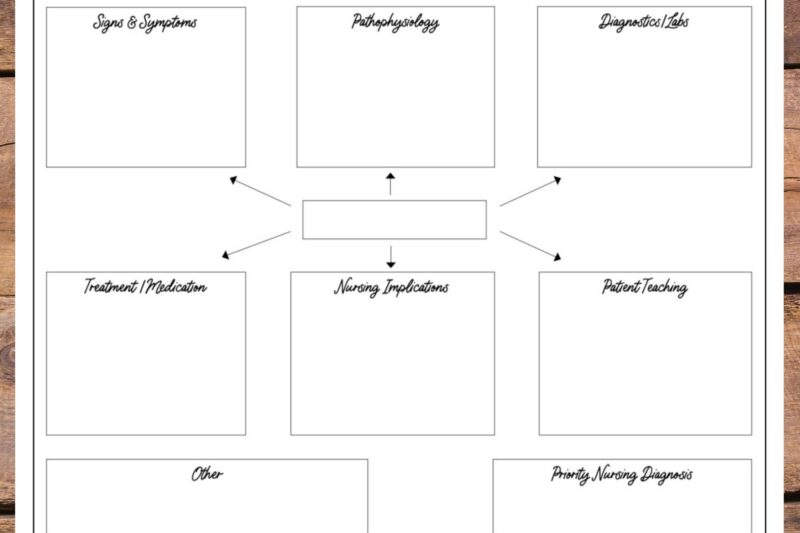 Printable Nursing Concept Map Template